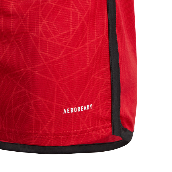 Adidas Manchester United 2023/24 Youth Home Jersey