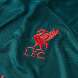 Nike Liverpool FC 2022/23 Mens Third Jersey